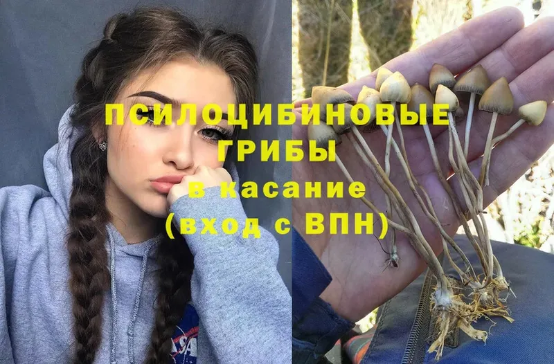 Галлюциногенные грибы Magic Shrooms  Злынка 